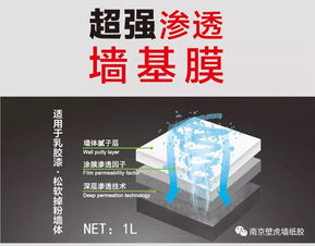 南京壁虎 做产品与做央视主持人一样 实力说明一切