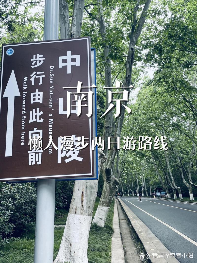 南京2天1晚|保姆级攻略