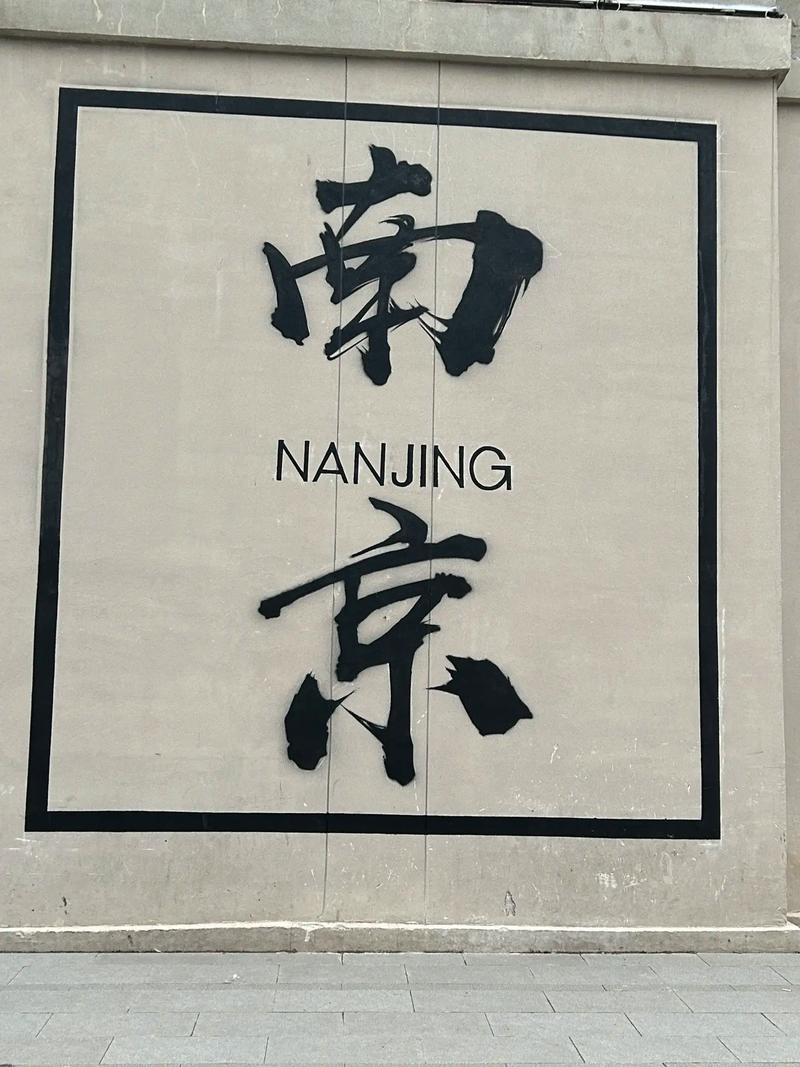 树是梧桐树,城是南京城!#南京打卡