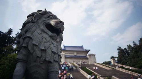 关于南京,你有哪些记忆