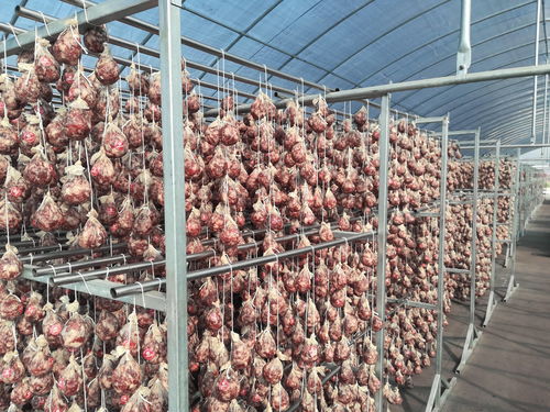 南京饮食中的包容与融合：以礼相待的食物变形记